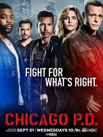 Полиция Чикаго (4 сезон)