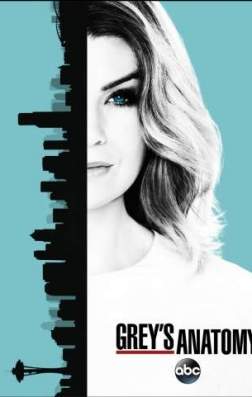 Фильм Анатомия страсти (13 сезон)