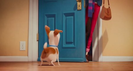 Тайная жизнь домашних животных (2016)