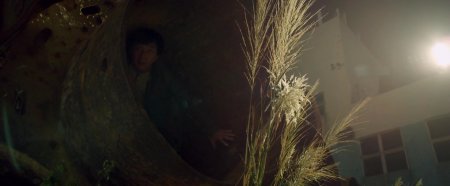 По следу (2016) По следу (2016)