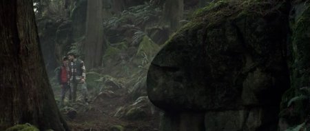 Черные птицы (2014) Черные птицы (2014)