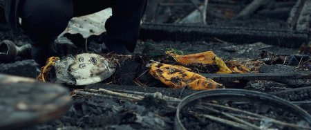 Охота на дикарей (2016) Охота на дикарей (2016)