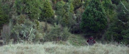 Охота на дикарей (2016) Охота на дикарей (2016)