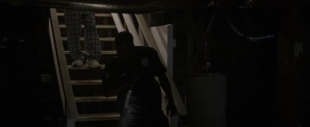 Хороший сосед (2016) Хороший сосед (2016)