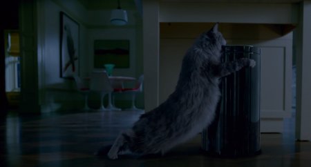 Девять жизней (2016)