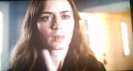 Девушка в поезде (2016)