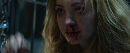 Питомец (2016)