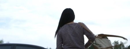 Очищение (2015) Очищение (2015)