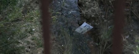 Очищение (2015) Очищение (2015)