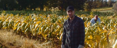 Харроу (2016) Харроу (2016)