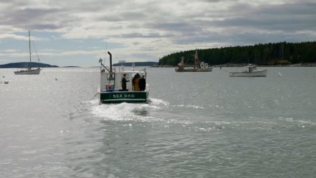 Конгрессмен (2016) Конгрессмен (2016)