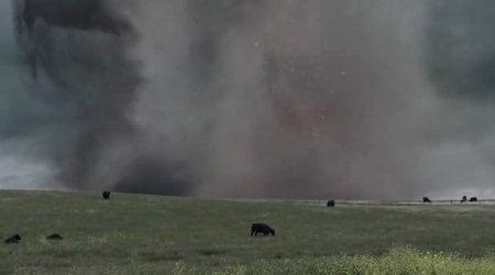 Акулий торнадо 4: Пробуждение (2016) Акулий торнадо 4: Пробуждение (2016)