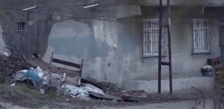 Безумие (2015) Безумие (2015)