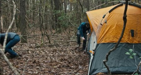 Демон дерева (2016)