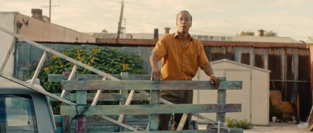 Охотник-собиратель (2016) Охотник-собиратель (2016)