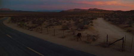 Под покровом ночи (2016) Под покровом ночи (2016)