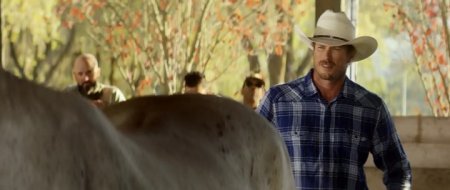 Одичавший (2017) Одичавший (2017)