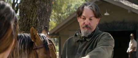 Одичавший (2017) Одичавший (2017)