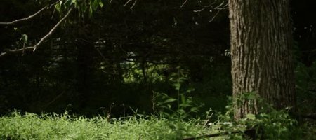 Шальные пули (2016) Шальные пули (2016)