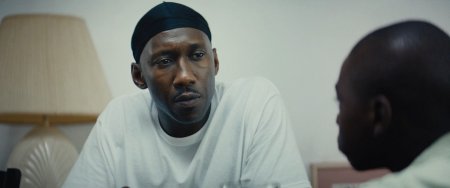 Лунный свет (2016) Лунный свет (2016)