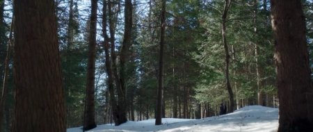 Взаперти (2016) Взаперти (2016)