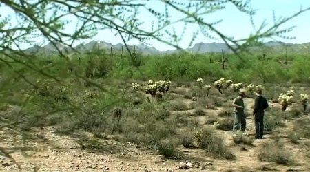 Инопланетный заговор (2016) Инопланетный заговор (2016)