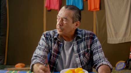 Безумные семейки (2017) Безумные семейки (2017)