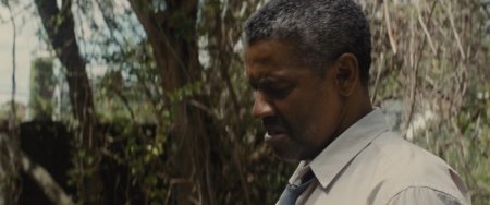 Ограды (2016) Ограды (2016)