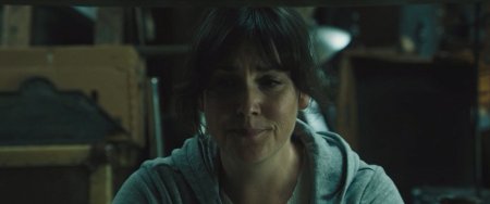 В этом мире я больше не чувствую себя как дома (2017) В этом мире я больше не чувствую себя как дома (2017)