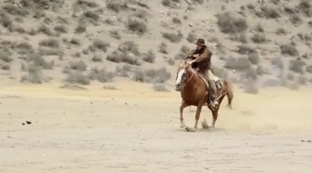 Шестизарядный спаситель (2016) Шестизарядный спаситель (2016)