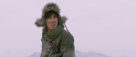 Железнодорожные тигры (2016)