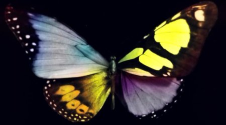 Галактика ужасов (2017)