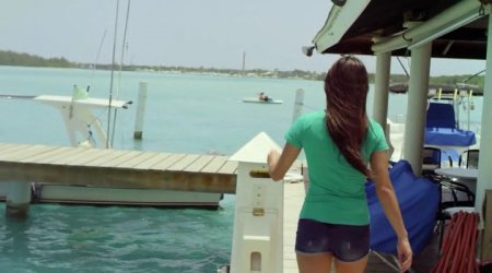 Акулосьминог против Китоволка (2015) Акулосьминог против Китоволка (2015)