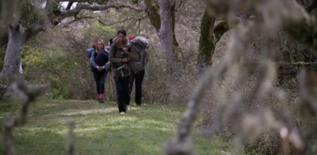 Карьер (2016) Карьер (2016)