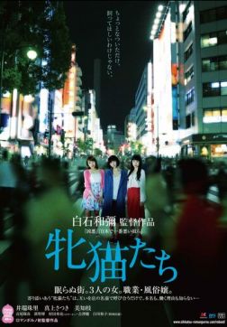 Фильм Кошачий рассвет (2017)