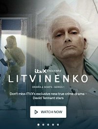 Фильм Литвиненко (1 сезон)