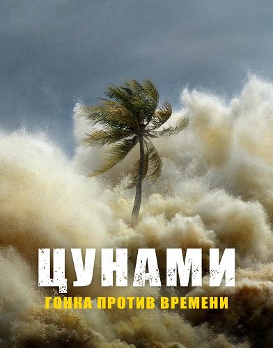 Цунами: Гонка против времени (1 сезон)
