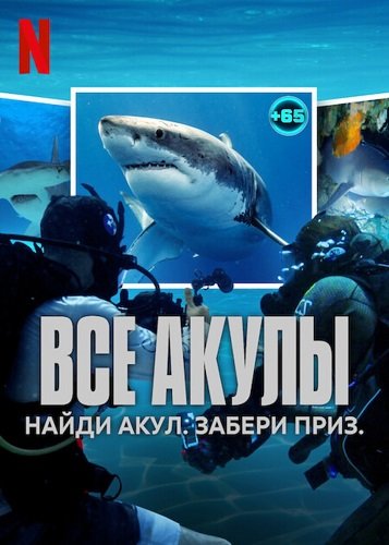 Все акулы (1 сезон)