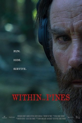 Среди сосен (2025)